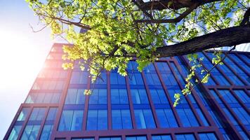 Eco building in modern city concept. Modern office building with the fresh green leaves. photo