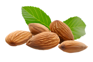 Almond nuts with green leaves isolated on transparent background png