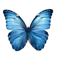 Blue butterfly isolated on transparent background with clipping path. Butterfly wing texture png