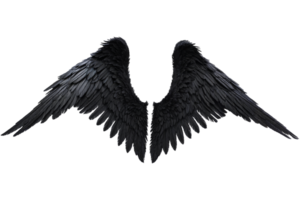 asas de anjo negro png