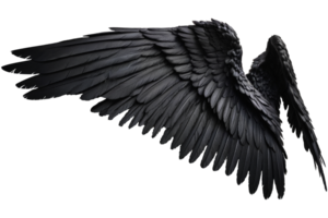 ailes d'ange noir png