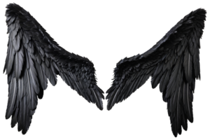 ailes d'ange noir png
