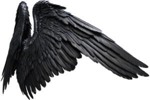 asas de anjo negro png