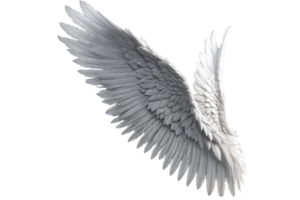 photorealistic angel wings png