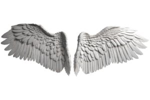 photoréaliste ange ailes png
