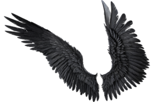 ailes d'ange noir png