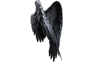 asas de anjo negro png