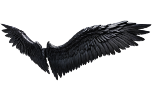 svart ängel vingar png