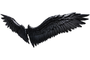 ailes d'ange noir png