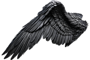 zwart engel Vleugels png