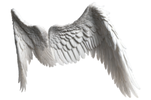 fotorealistisch engel Vleugels png