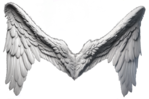 photorealistic angel wings png