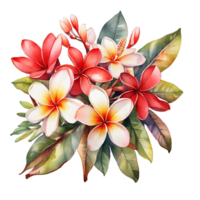 bouquet di fiori ad acquerello png