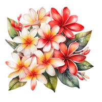 Watercolor Flower Bouquet png