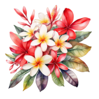 aquarell blumenstrauß png