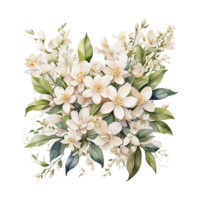 bouquet di fiori ad acquerello png