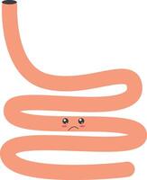 Cute Human Internal Organ Character. in Cartoon Shapes. Human Organs Anatomy. Isolated Illustration vector