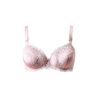 Romantic Dusty Rose Lace Bra A romantic dusty rose lace bra with a soft feminine png