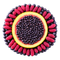 Acai Berries dark purple acai berries forming a mandala pattern with some berries crushed png