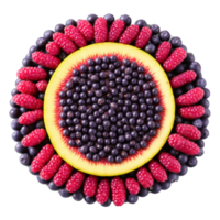 acai bessen donker Purper acai bessen vormen een mandala patroon met sommige bessen verpletterd png