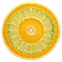 citrus- frukt mandala en cirkulär arrangemang av citroner lime och apelsiner med juice stänk png