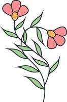 Hand Drawn Floral Botanical Branch. Isolated on White Background. Isolated Illustration. vector