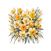 aquarell blumenstrauß png