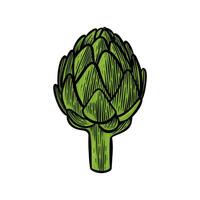 vegetable hand drawn illustration with color vector