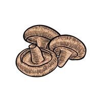 Champignon mushroom hand drawn illustration with color vector