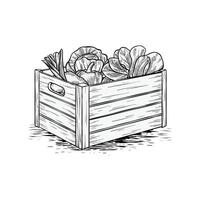 hand drawn vegetable wooden box and vegetable collection illustration vector