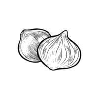 illustration of carved onions with color vector