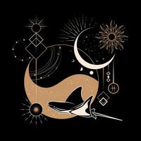 Magical Mystical and Esoteric Celestial Constellation Illustration vector