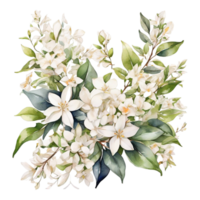 bouquet di fiori ad acquerello png