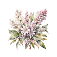 aquarell blumenstrauß png