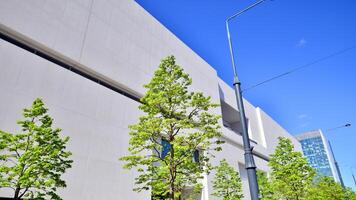 Modern white concrete building walls against blue sky. Eco architecture. Green trees and concrete office building. The harmony of nature and modernity. photo