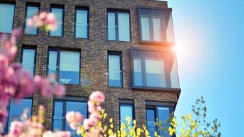 Eco architecture. Green tree and new residential building. Harmony of nature and modernity. Modern apartment building with new apartments in a green residential area. photo