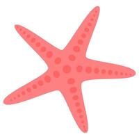 estrella de mar en plano estilo aislado en blanco antecedentes. vector
