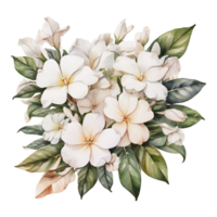 bouquet de fleurs aquarelle png