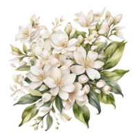 akvarell blombukett png