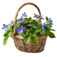 Wicker Basket with Borage Flowers png
