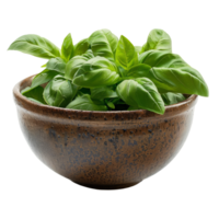 Fresh Basil Leaves in Ceramic Bowl png