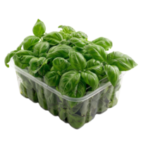 Fresh Basil Leaves in Plastic Container png