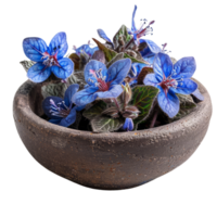 blå gurkört blommor i lera skål png