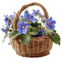 Wicker Basket with Borage Flowers png