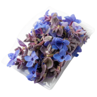 azul y púrpura borraja flores en un plato png