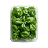 Fresh Basil in Plastic Container png