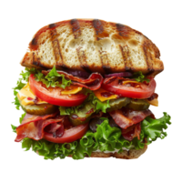 Delicious Grilled Sandwich png