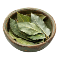 Bay Leaves in Rustic Bowl png