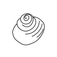 seashell outline illustration vector