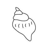 seashell outline illustration vector